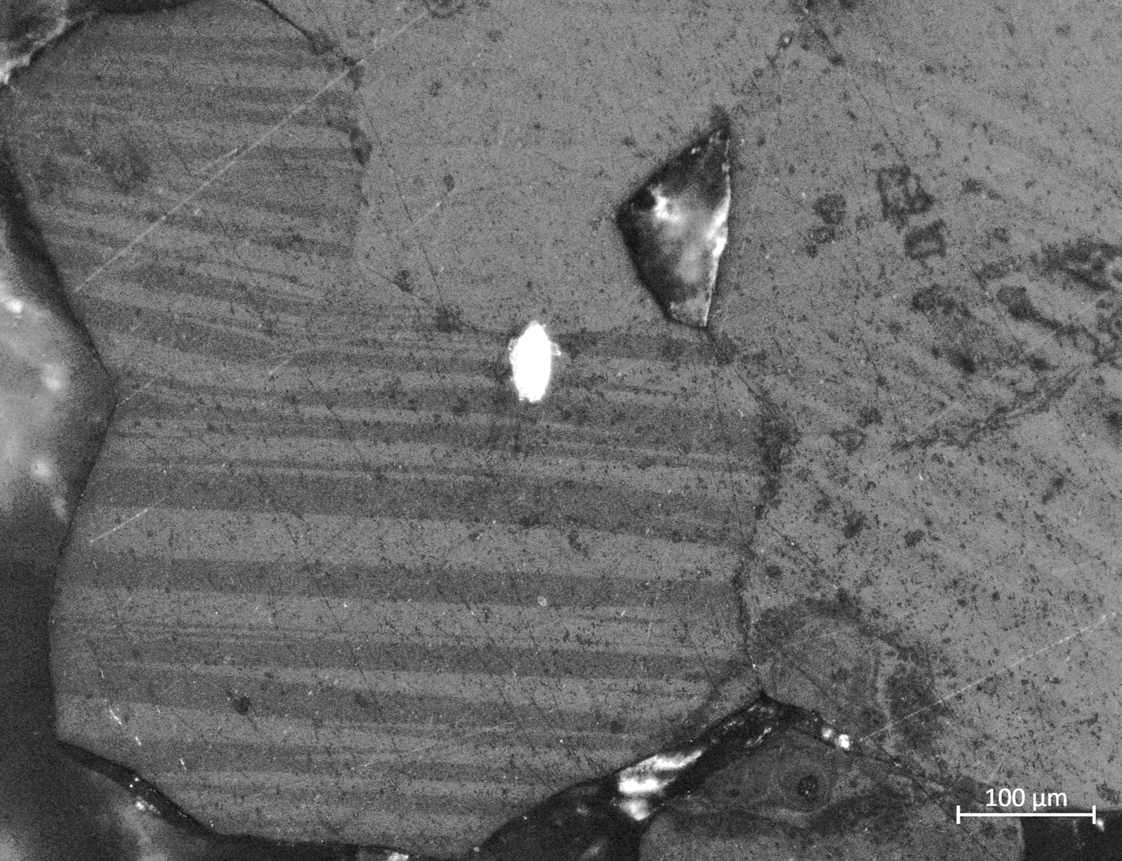 MOKE Patterns of MnAlCu τ-Phase